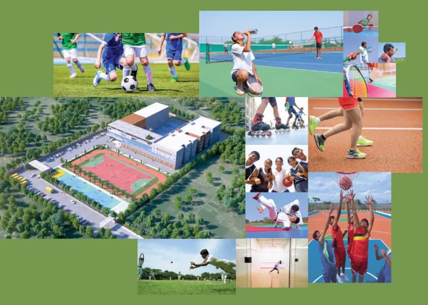 Activities at Shamrock